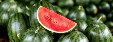Citrulline (From Organic Watermelon Rind)