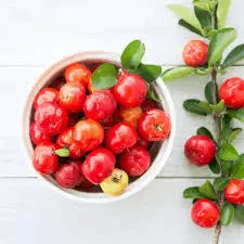 Natural Acerola Cherry